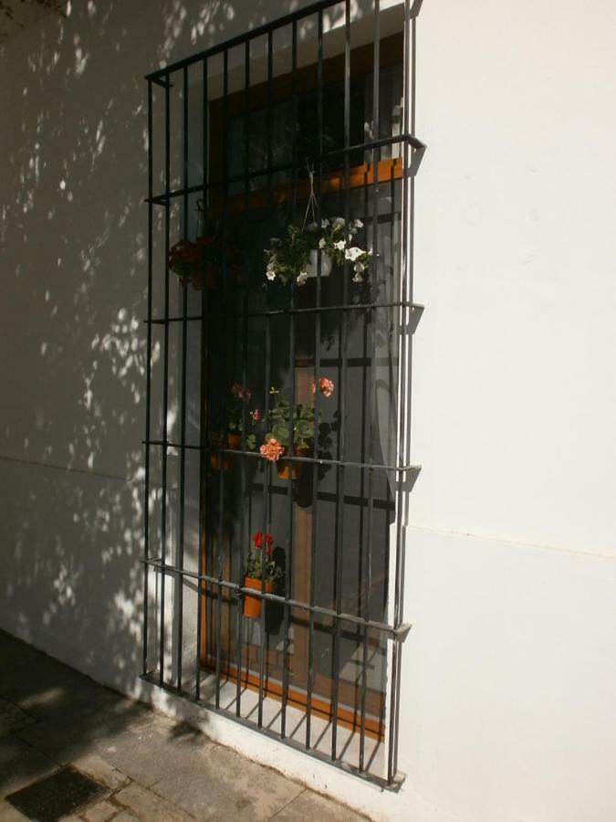 Casa En Plaza De La Merced_Centro Flamenco_Cadiz Luaran gambar